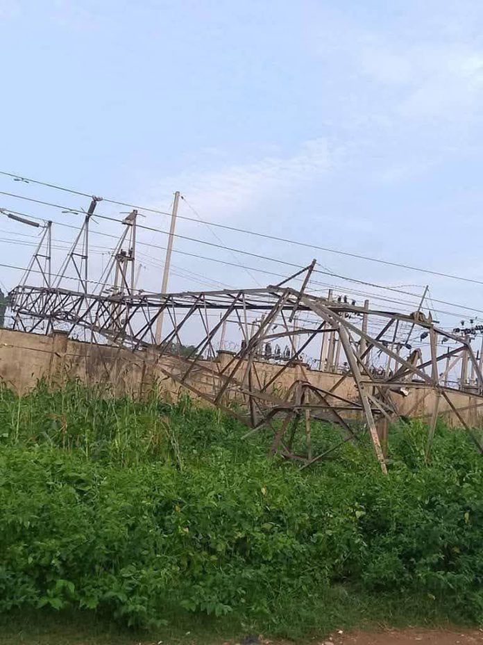 facebook_1758441293486_7375437351035394740